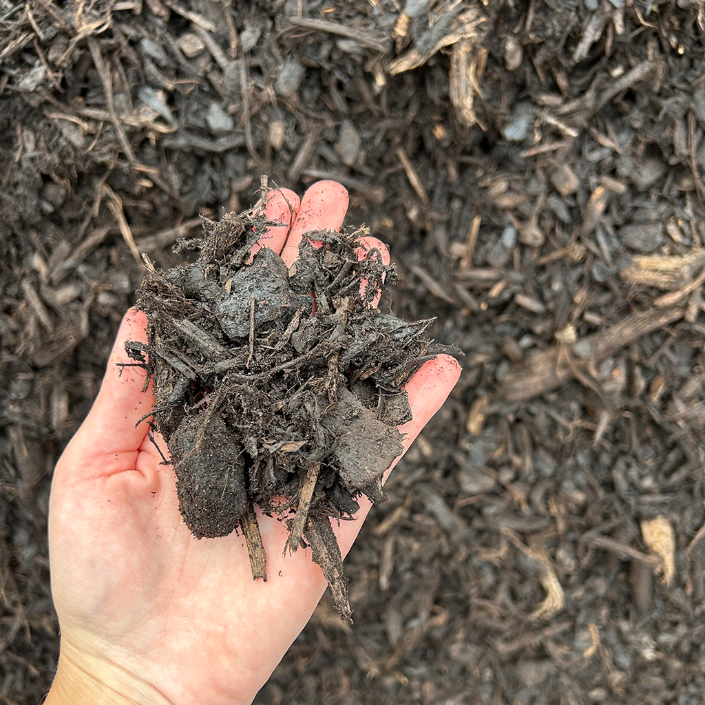 Myco Mulch