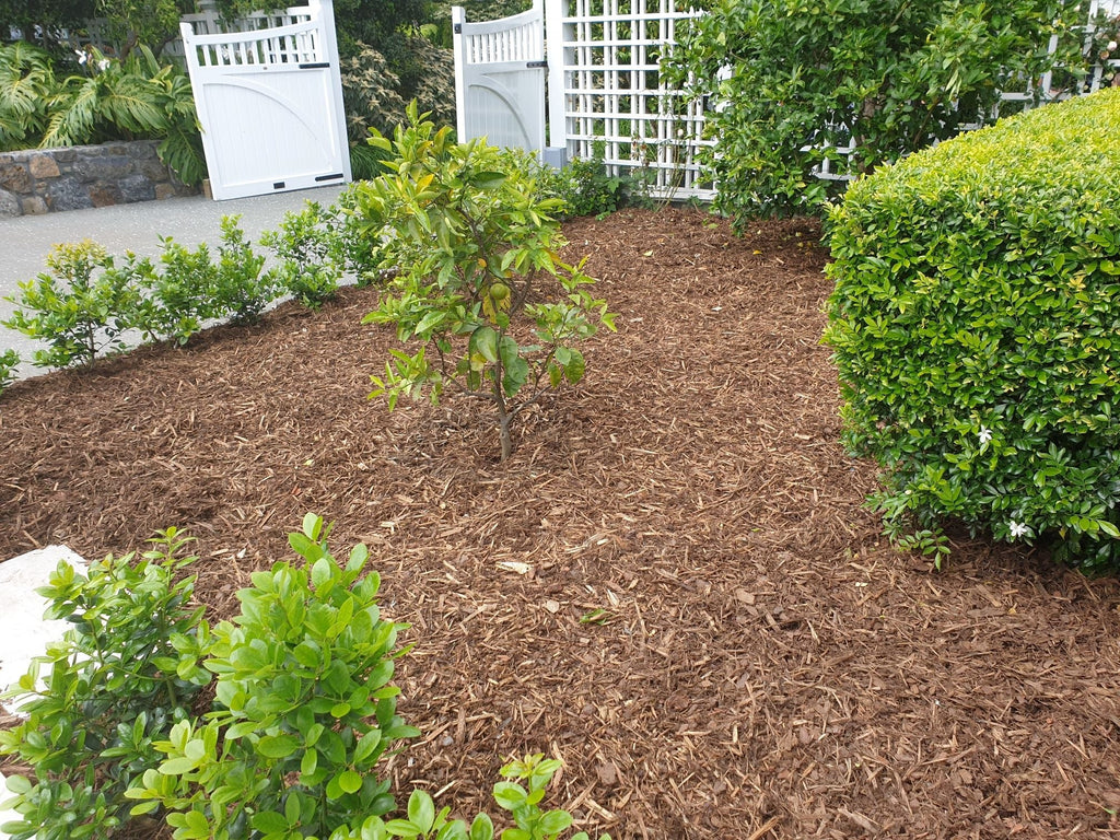 Arborist Mulch