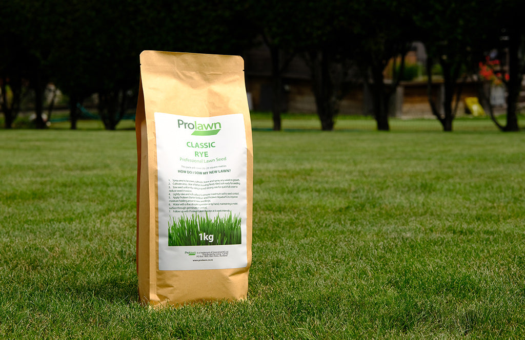 Prolawn Classic Rye Grass Seed